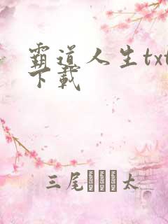 霸道人生txt下载