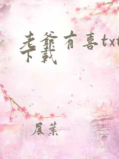 老爷有喜txt下载