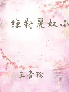 绝对丽奴小说