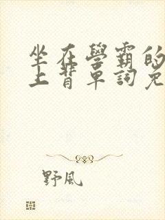 坐在学霸的棍子上背单词免费观看