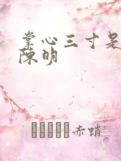 掌心三寸是人间陈明