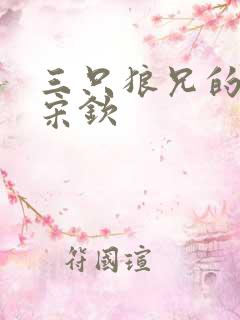 三只狼兄的宠妻宋钦