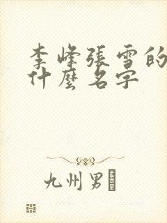 李峰张雪的书叫什么名字