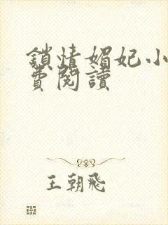 锁情媚妃小说免费阅读