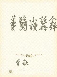 叶临小说全文免费阅读无弹窗