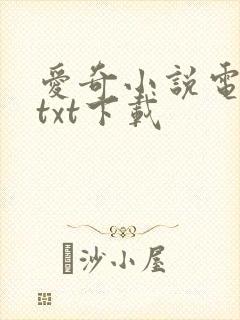 爱奇小说电子书txt下载