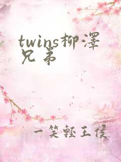 twins柳泽兄弟