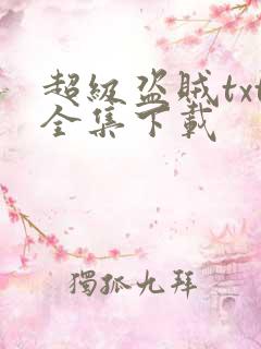 超级盗贼txt全集下载
