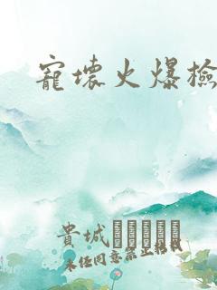 宠坏火爆检察官