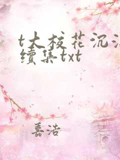 t大校花沉浮录续集txt