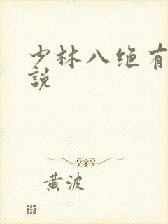 少林八绝有声小说