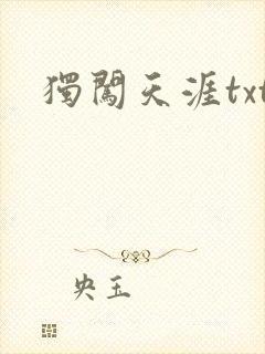 独闯天涯txt