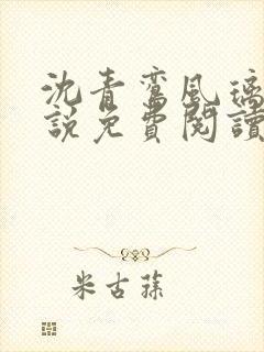 沈青鸾风璃宸小说免费阅读