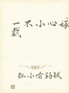 一不小心嫁给总裁