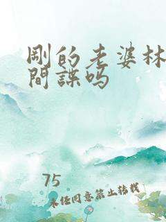 刚的老婆林彦是间谍吗