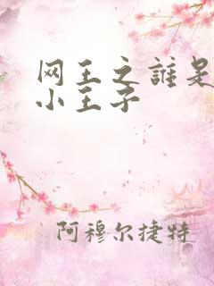 网王之谁是我的小王子
