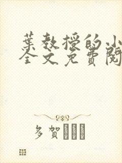 叶教授的小黏糖全文免费阅读