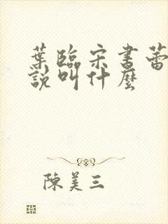 叶临宋书蕾的小说叫什么