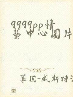 9999pp情艺中心图片
