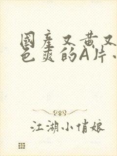 国产又黄又大又色爽的A片小说