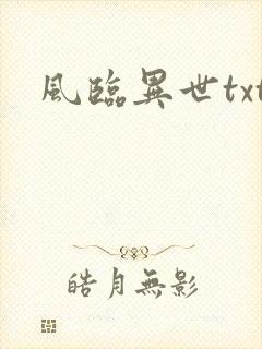 风临异世txt