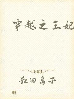 穿越之王妃有孕