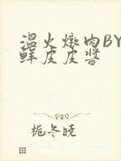 温火炖肉BY海鲜皮皮酱