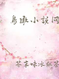 鸟瞰小说网