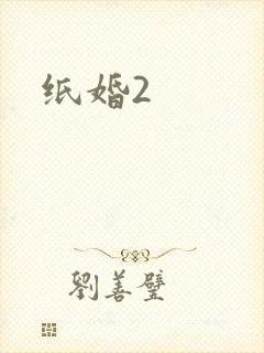 纸婚2