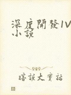 深度开发1V3小说