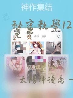 秘密教学12画免费