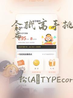 全职高手挑战赛篇