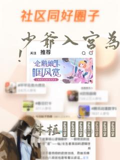 少爷入宫为妃吧!：结局+番外