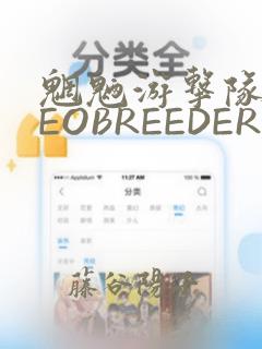 魍魉游击队 GEOBREEDERS：结局+番外