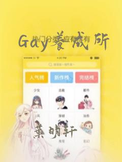 Gay养成所