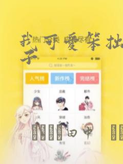 python chinesecalendar