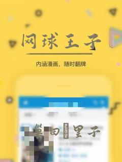 网球王子：结局+番外