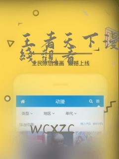 王者天下漫画在线观看：结局+番外