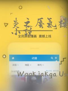 炎之蜃气楼-轻小说