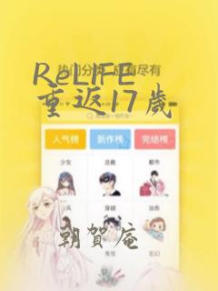 ReLIFE 重返17岁