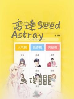 高达Seed Astray