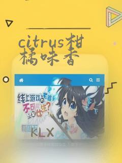 citrus柑橘味香