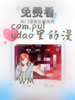 com.puludao里的漫画内容