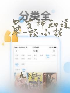 只有神知道的世界-轻小说