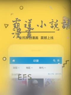 霸道小说请轻撩漫画