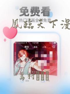 凤临天下漫画：结局+番外