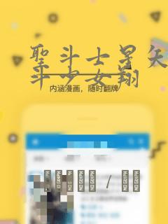 圣斗士星矢 圣斗少女翔