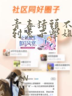 青春猪头不会梦到兔子学姐