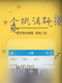 全职法师漫画扑飞