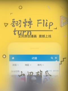 翻转 Flip turn